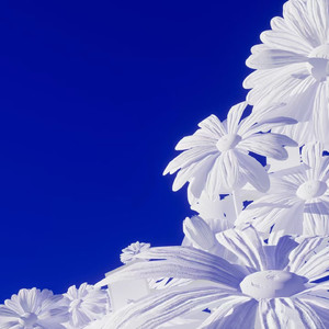 91看片白丝少萝❌❌自慰
